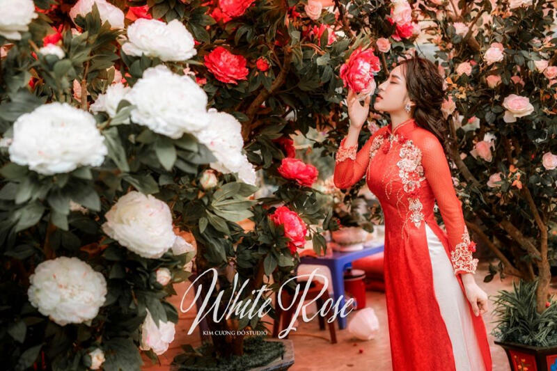 Kim Cương Đỏ Studio