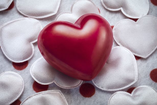 Valentine Vui Vẻ