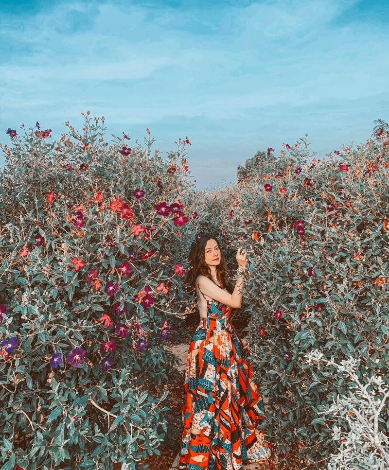 Bohemian by Miêu