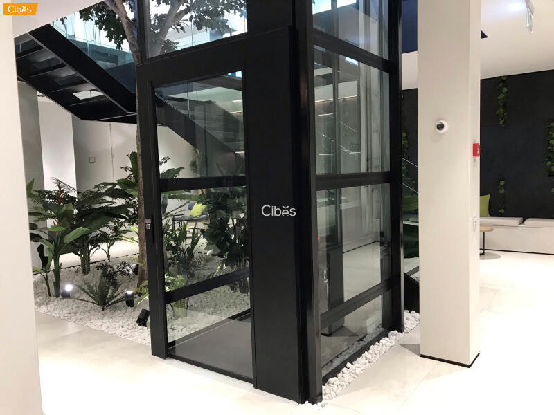 Tập đoàn Cibes Lift Group