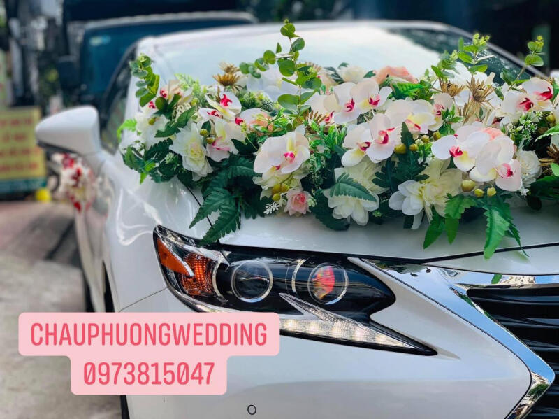 Dịch vụ cưới hỏi Châu Phượng