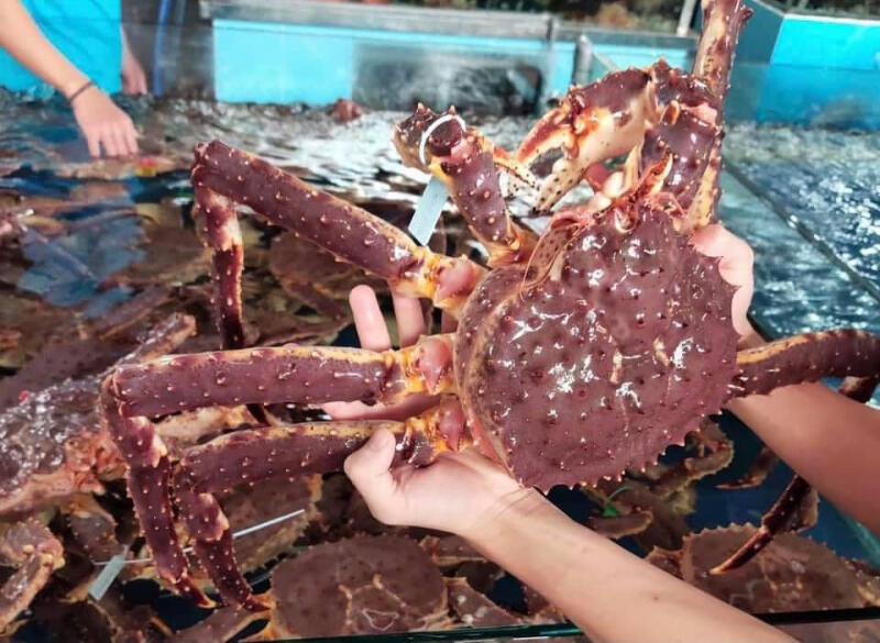 Chợ Hải Sản Bảo Bảo