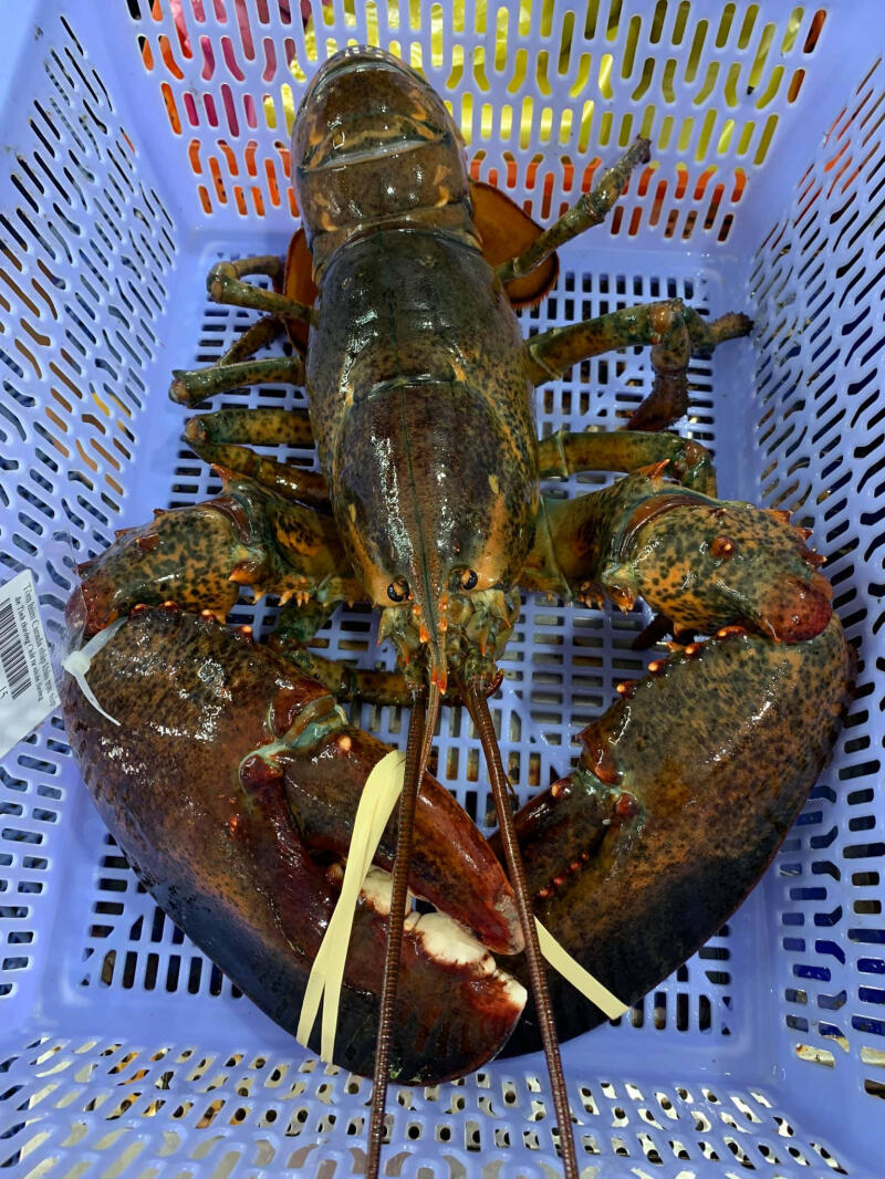 Chợ Hải Sản Bảo Bảo