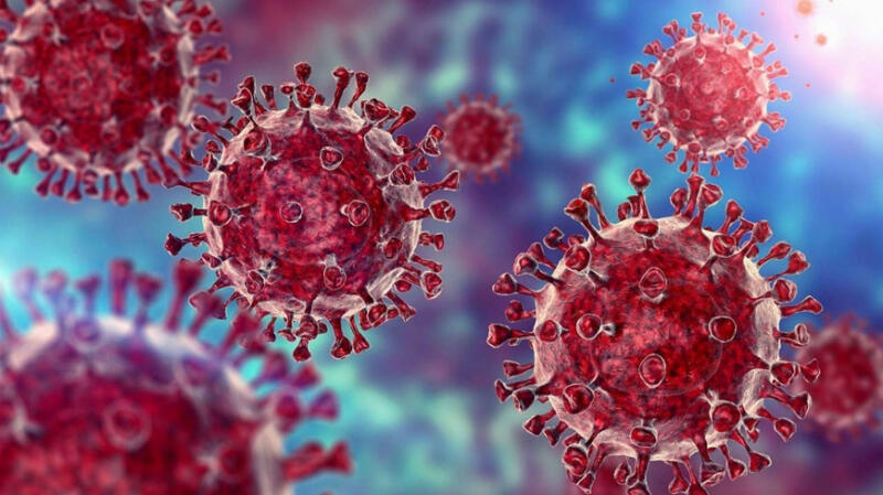 Để ngăn chặn biến chủng Omicron, Việt Nam giám sát dịch tễ virus SARS-CoV-2 (29/11/2021)