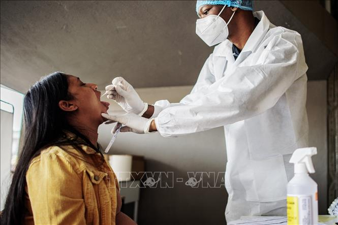 Nam Phi phát hiện biến thể mới của virus SARS-CoV-2 với số lượng đột biến rất cao (25/11/2021)