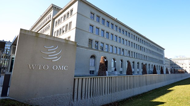 WTO lùi thời gian tổ chức hội nghị cấp bộ trưởng đến tháng 3/2022 (30/11/2021)