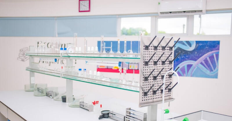 Trường Phổ Thông Liên cấp Mensa