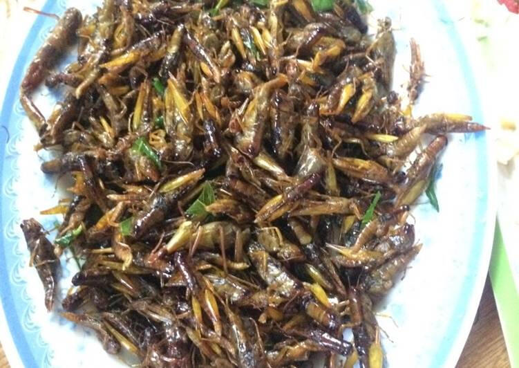 Các món ăn từ Châu Chấu và Bọ Xít
