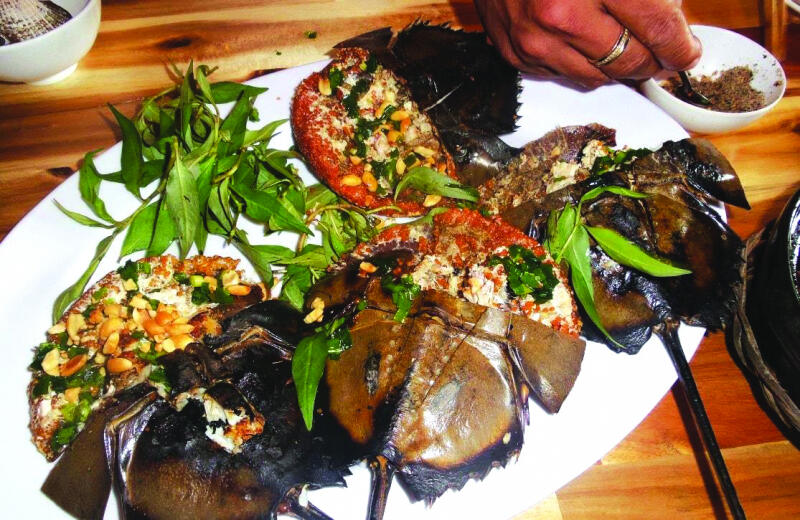 Sam Quảng Yên