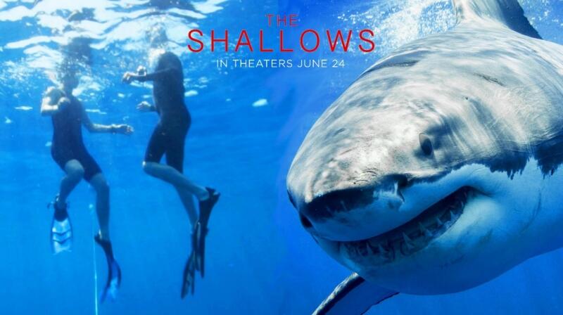 The Shallows