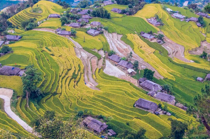 Ruộng bậc thang Hoàng Su Phì